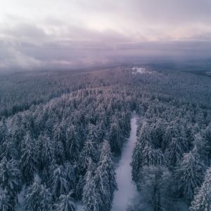 Meet your Posher, Bruce